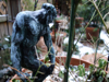 winter-garden-2014-13