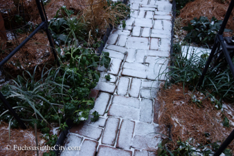 winter-garden-2014-3