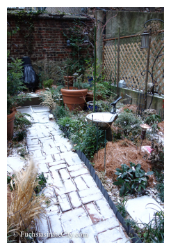 winter-garden-2014-33
