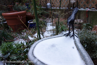 winter-garden-2014-4