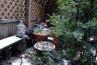winter-garden-2014-5