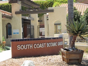 south-coast-300px
