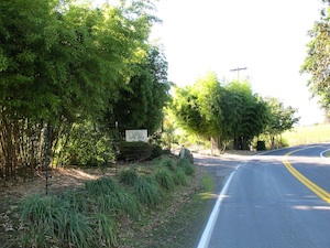 joy-creek-300px